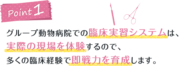 愛玩動物看護師コース 3年 動物看護福祉コース 2年 つくば国際ペット専門学校