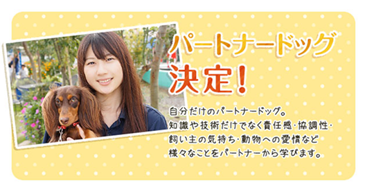 パートナードッグ決定！