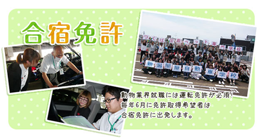 免許合宿