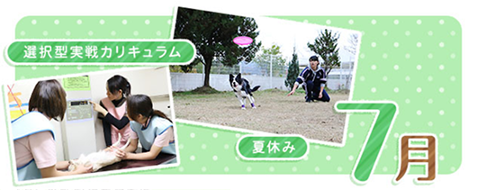 7月