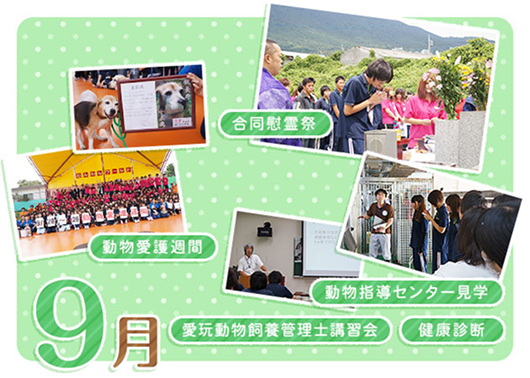 9月
