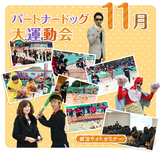 11月