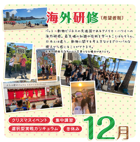 12月