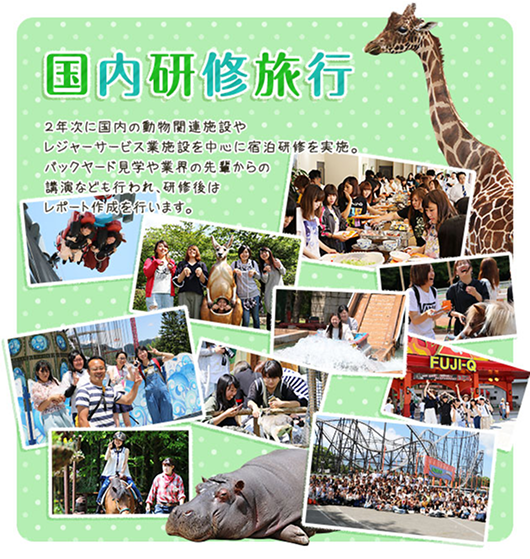 国内研修旅行