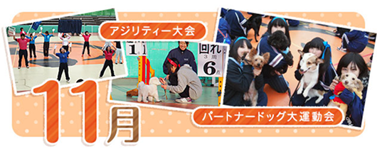 11月