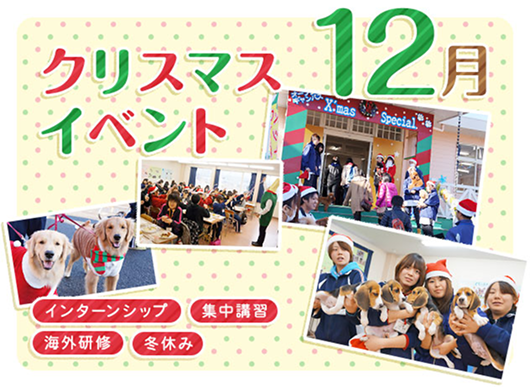 12月