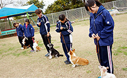 img04b