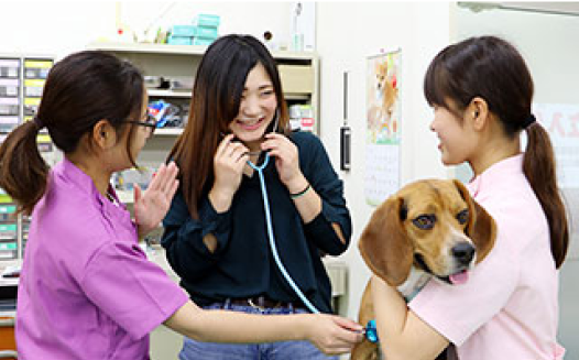 愛玩動物看護師/動物衛生看護コース