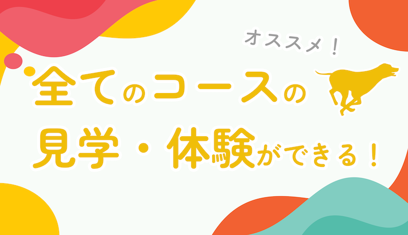 がっつり欲張りメニュー
