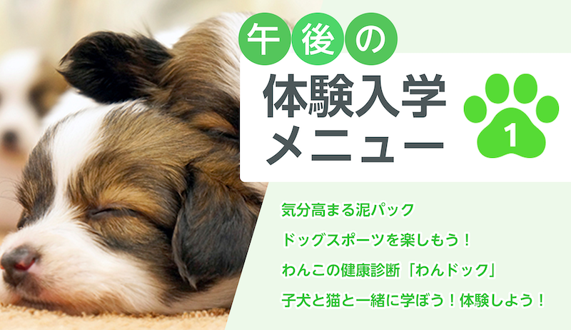 午後の体験入学メニューはmenu1番です。