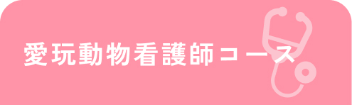 愛玩動物看護師コース