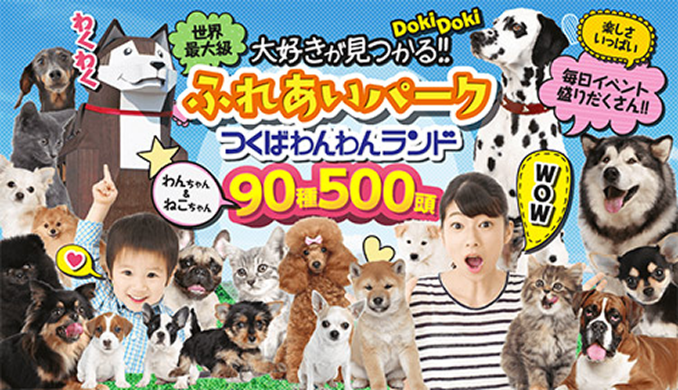 90種類500頭 日本最大級犬猫のテーマパーク