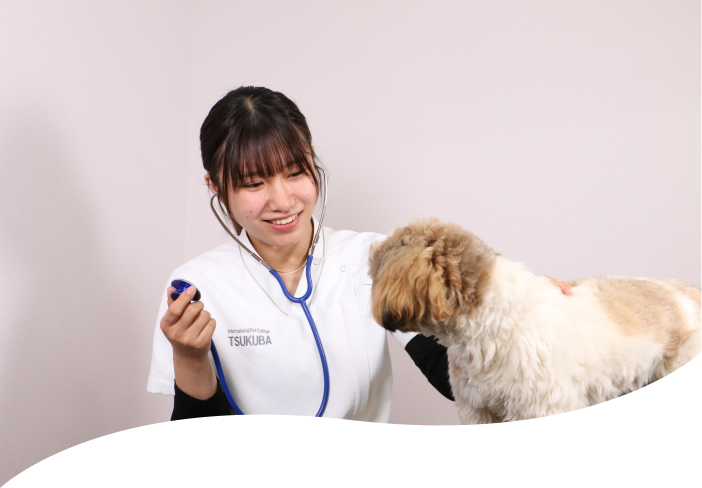 愛玩動物看護師コース(3年)動物衛生看護コース(2年)