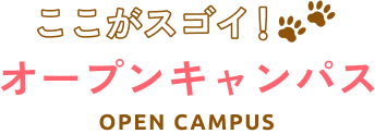 ここがスゴイ！オープンキャンパス