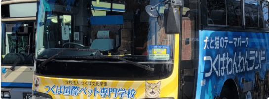 直通スクールバス運行