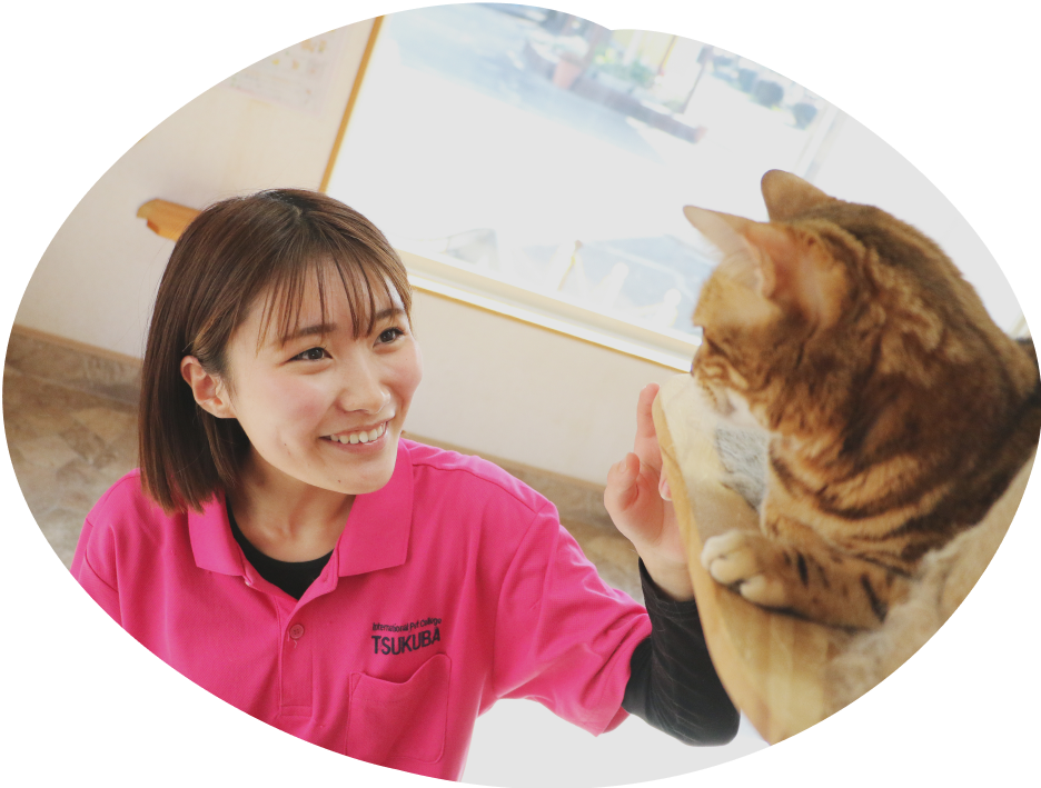 つくば国際ペット専門学校