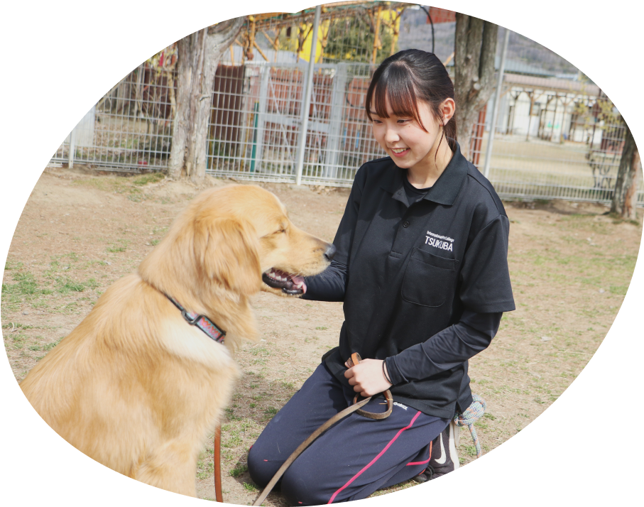 つくば国際ペット専門学校