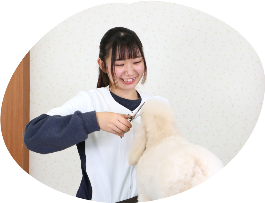 つくば国際ペット専門学校
