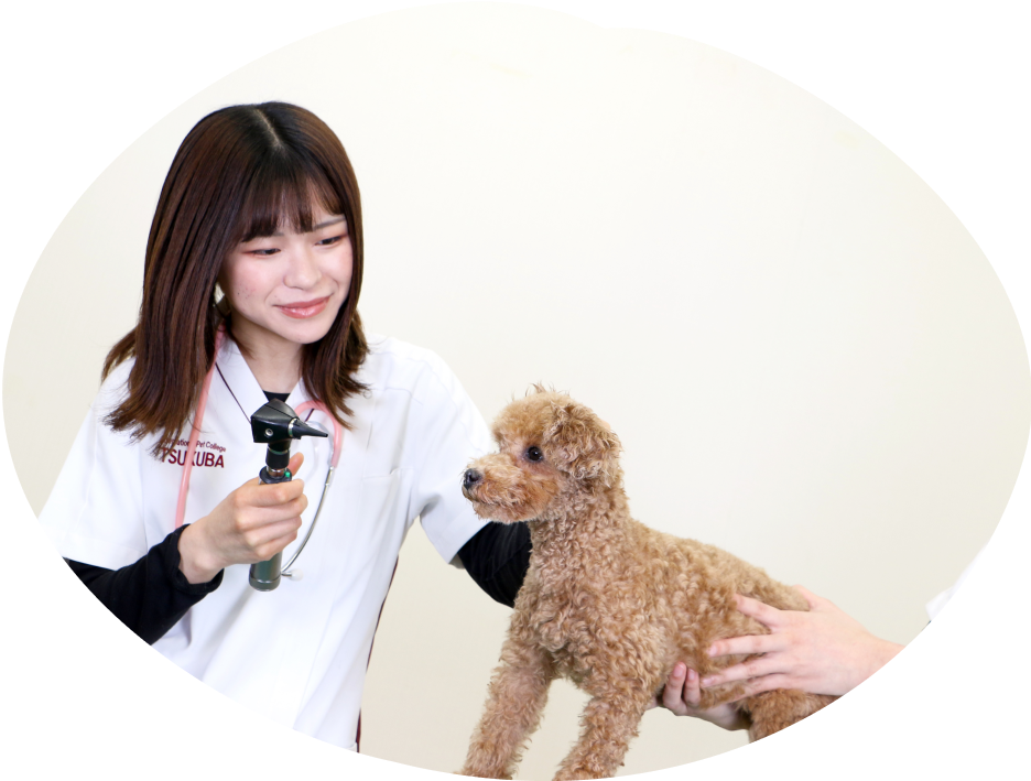 つくば国際ペット専門学校