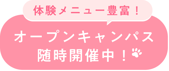 体験メニュー豊富！オープンキャンパス随時開催中！